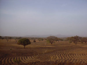 nigeria-dry-season-1511010